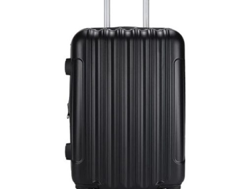 Hot Selling Teenagers Hand Trolley Luggage